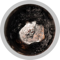 Charring step